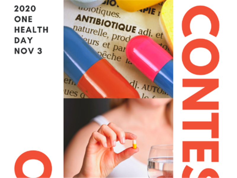 Cuộc thi ảnh – Hưởng ứng Tháng Một sức khỏe và Tuần lễ Truyền thông Kháng kháng sinh 2020