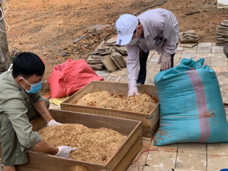 Chuỗi hoạt động thí điểm an toàn sinh học, xử lý chất thải, theo dõi sức khỏe vật nuôi và chẩn đoán và điều trị một số bệnh truyền lây từ động vật hoang dã