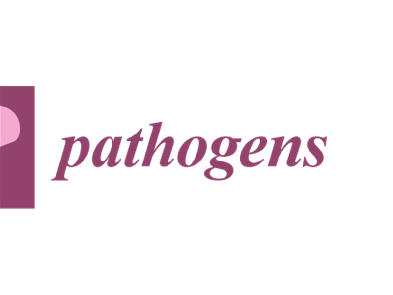 Cryptosporidium and Giardia in Biogas Wastewater: Management of Manure Livestock and Hygiene Aspects Using Influent, Effluent, Sewage Canal Samples, Vegetable, and Soil Samples