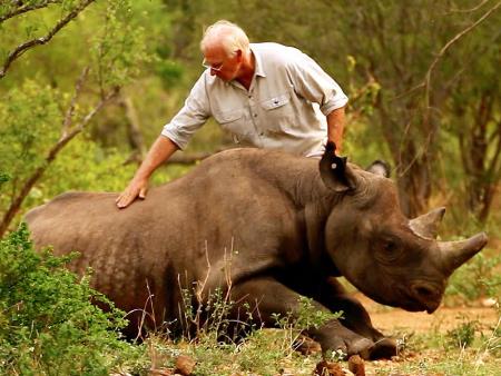 Bảo vệ động vật hoang dã và Một sức khỏe