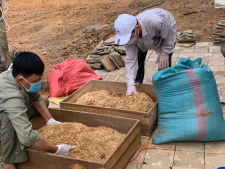 Chuỗi hoạt động thí điểm an toàn sinh học, xử lý chất thải, theo dõi sức khỏe vật nuôi và chẩn đoán và điều trị một số bệnh truyền lây từ động vật hoang dã