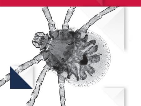 Risk factors for Entamoeba histolytica infection in an agricultural community in Hanam province, Vietnam